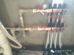 【老戰(zhàn)友連鎖企業(yè)】萬棵樹工程質(zhì)量巡檢